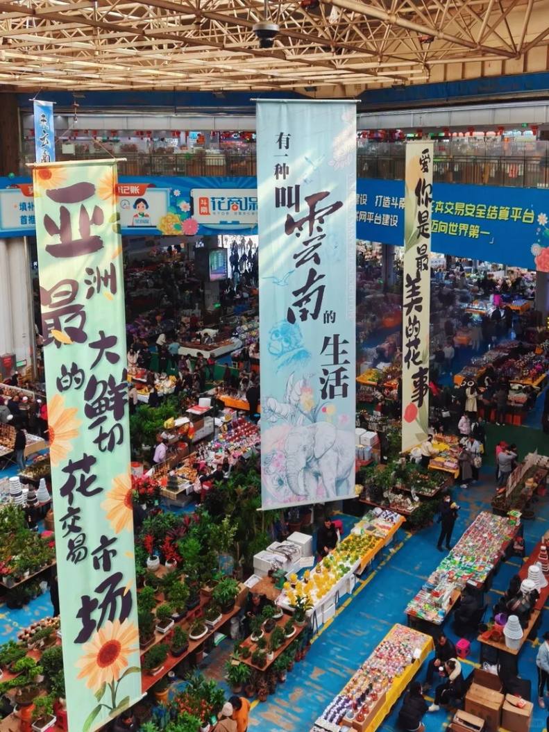 趣玩滇东南5天-11