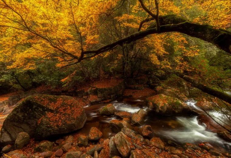 秋醉红叶 | 6天摄影团-相约秦巴-10～11月光雾山+黎坪红叶节+云雾山+十八月潭，陕西&四川深秋探秘之旅！2～24人常规团《不含大交通》