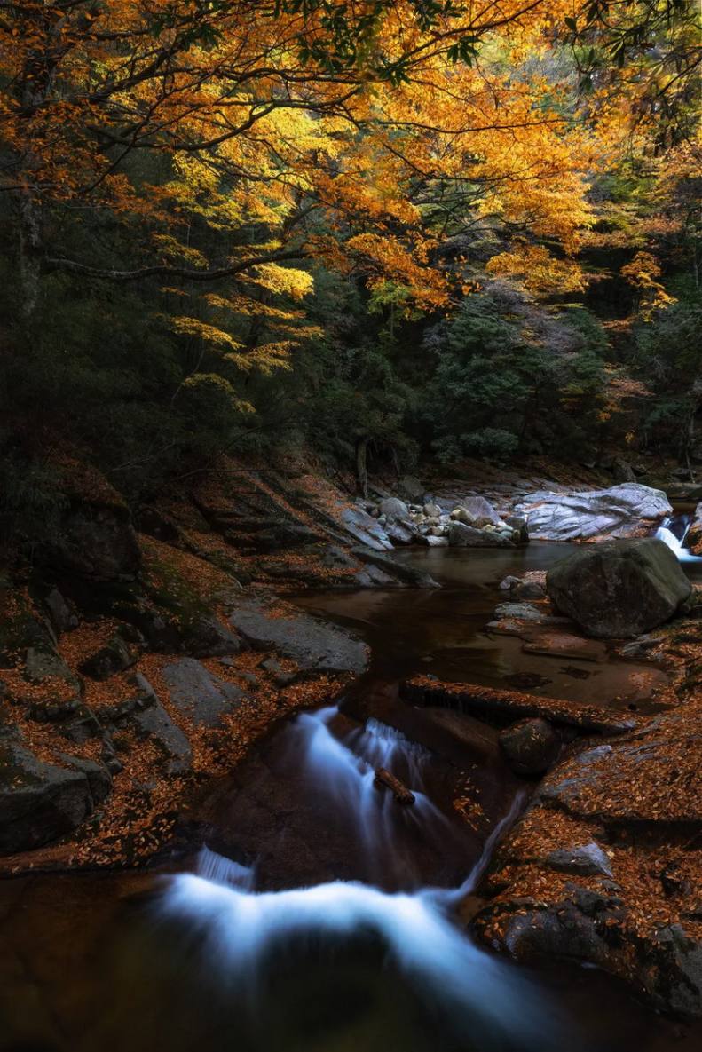 秋醉红叶-相约秦巴6天-11 秋醉红叶-相约秦巴6天-11
