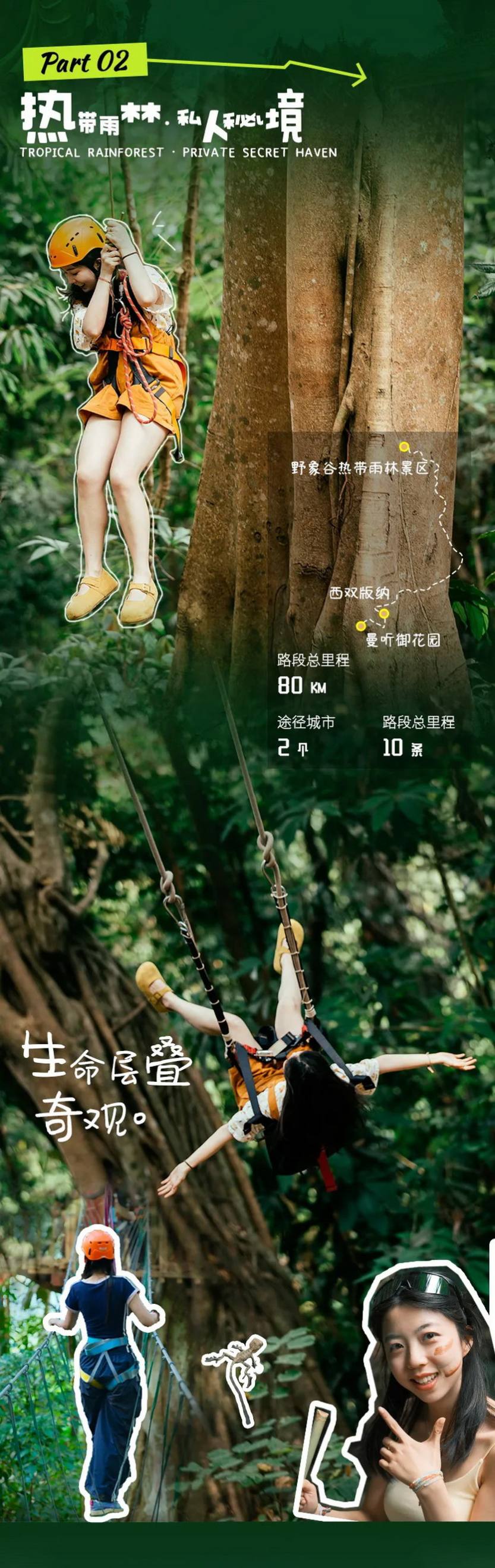 雨林之子·版纳去野记5天-5 雨林之子·版纳去野记5天-5