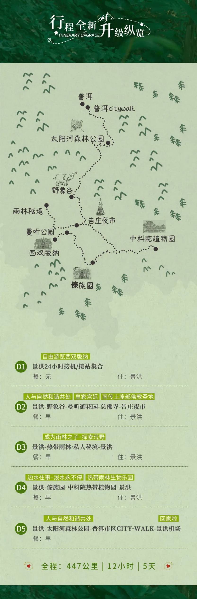雨林之子·版纳去野记5天-3 雨林之子·版纳去野记5天-3