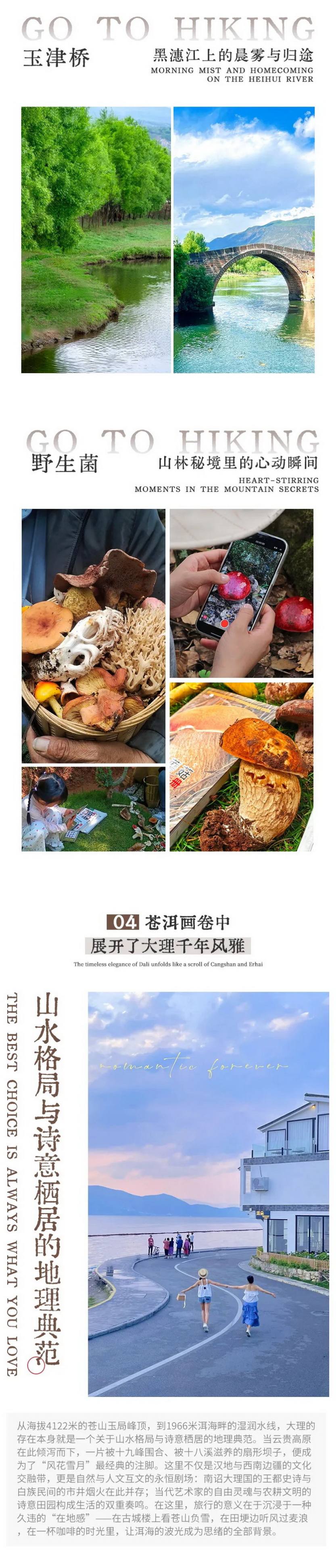 “蘑”幻云南·山野探索记6天_11 “蘑”幻云南·山野探索记6天_11