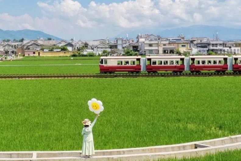 “蘑”幻云南·山野探索记6天_25