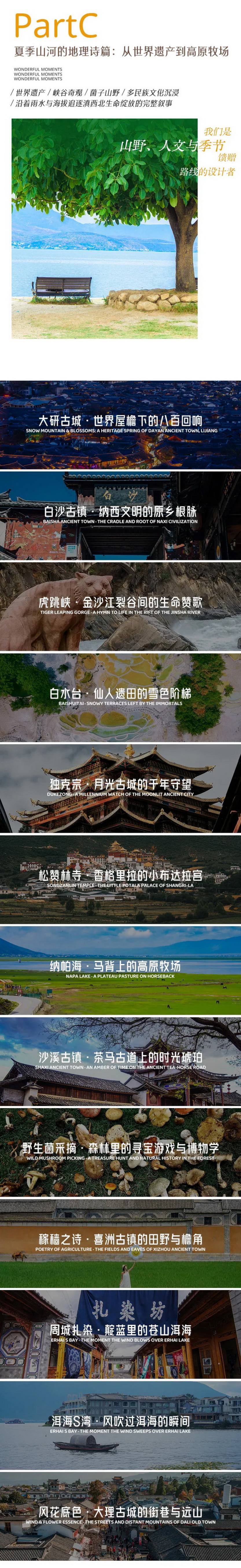 “蘑”幻云南·山野探索记6天_05 “蘑”幻云南·山野探索记6天_05
