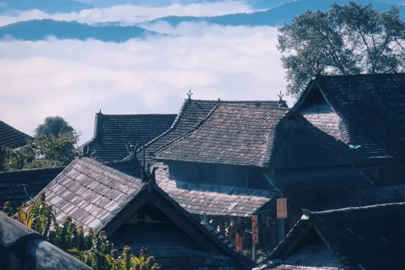 雨林之子·普洱漫游记6天-27