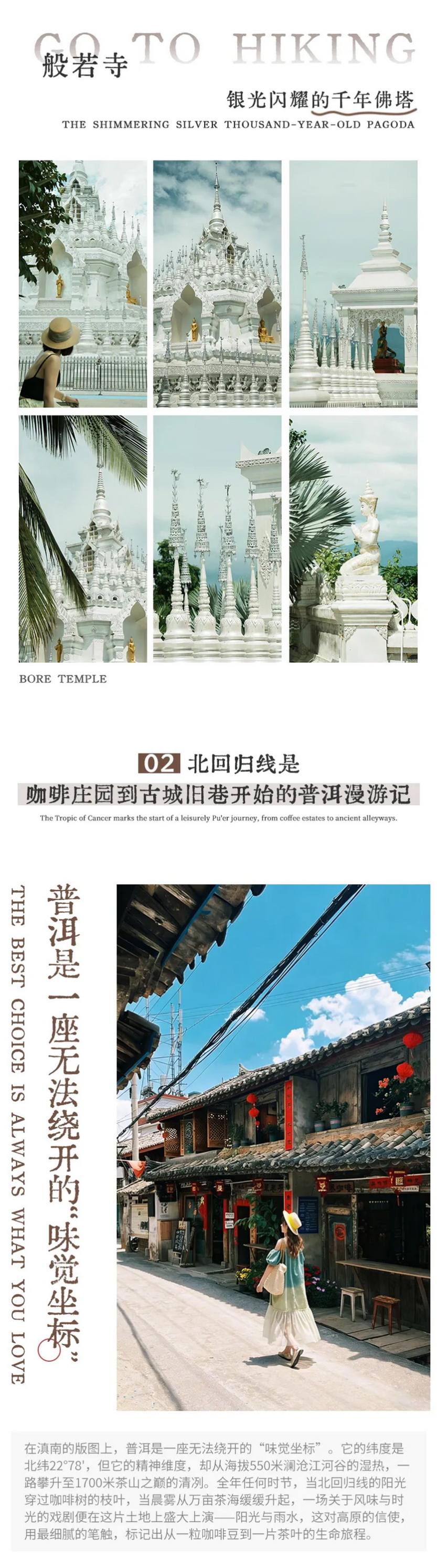 雨林之子·普洱漫游记6天-9 雨林之子·普洱漫游记6天-9