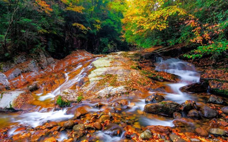 大美光雾山5天-25 大美光雾山5天-25