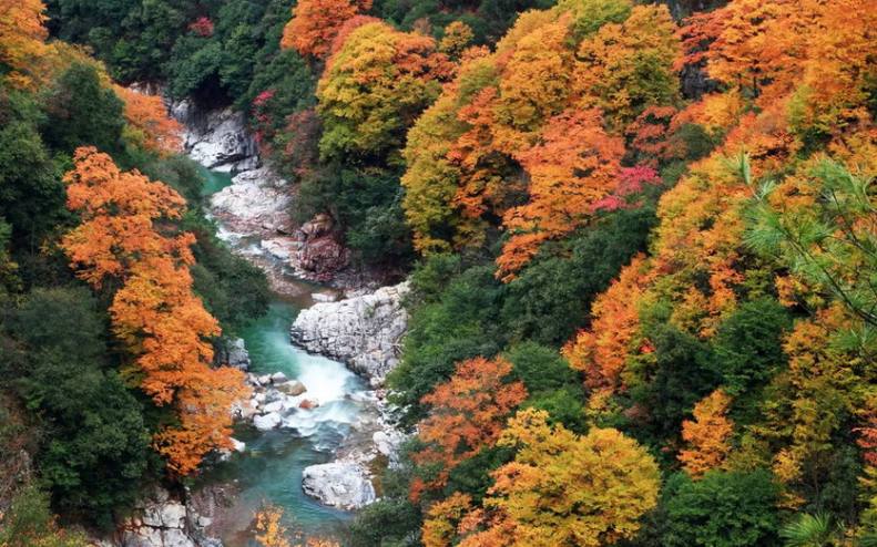 大美光雾山5天-26 大美光雾山5天-26