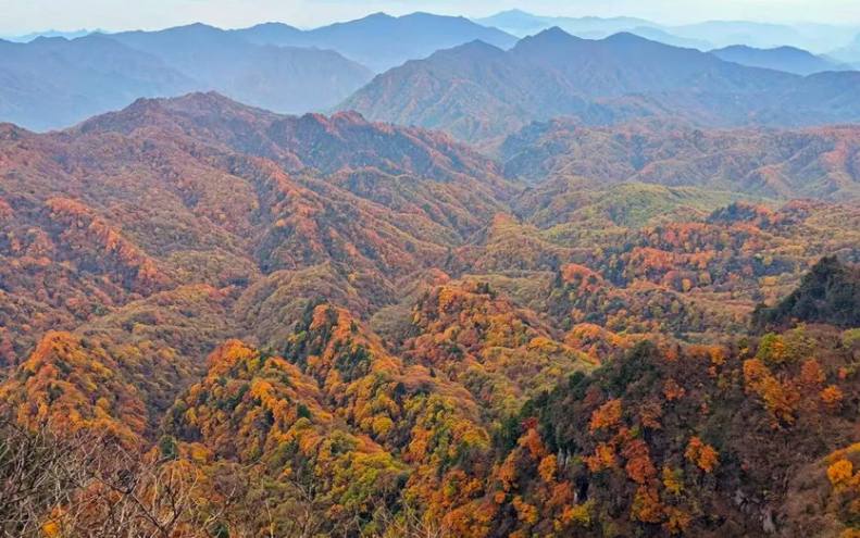大美光雾山5天-27 大美光雾山5天-27