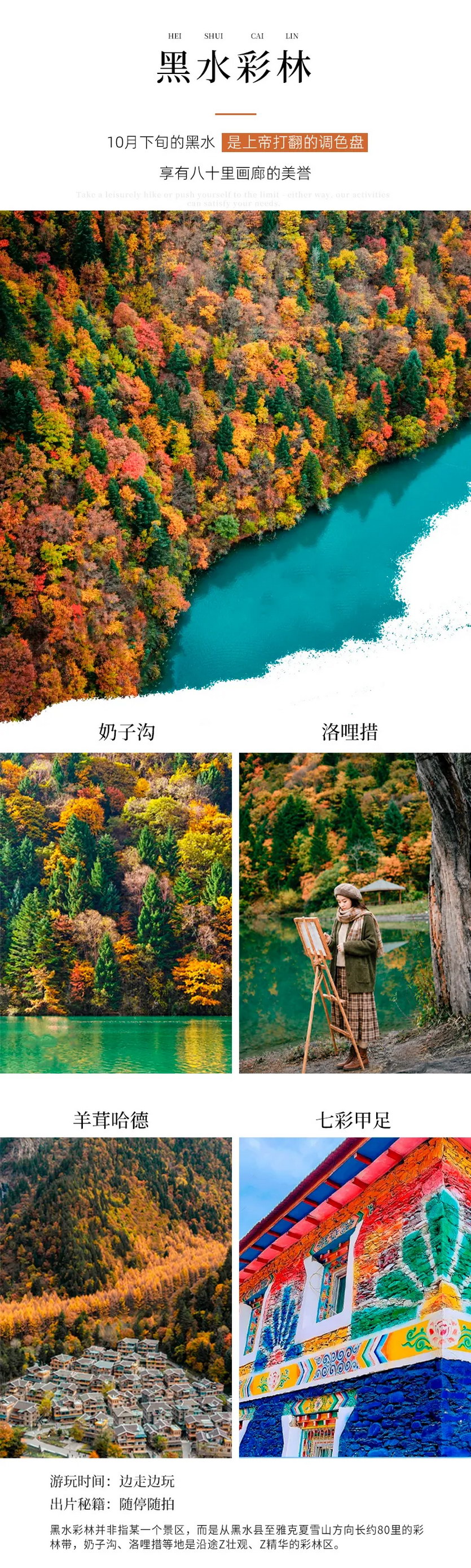 大美黑稻8天-12 大美黑稻8天-12