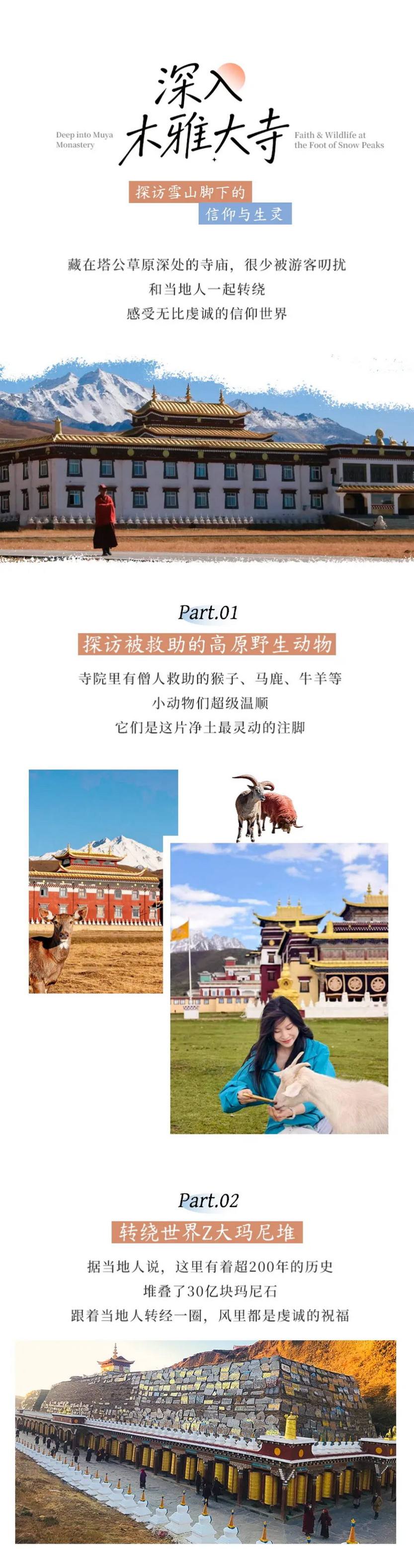 大美黑稻8天-8 大美黑稻8天-8