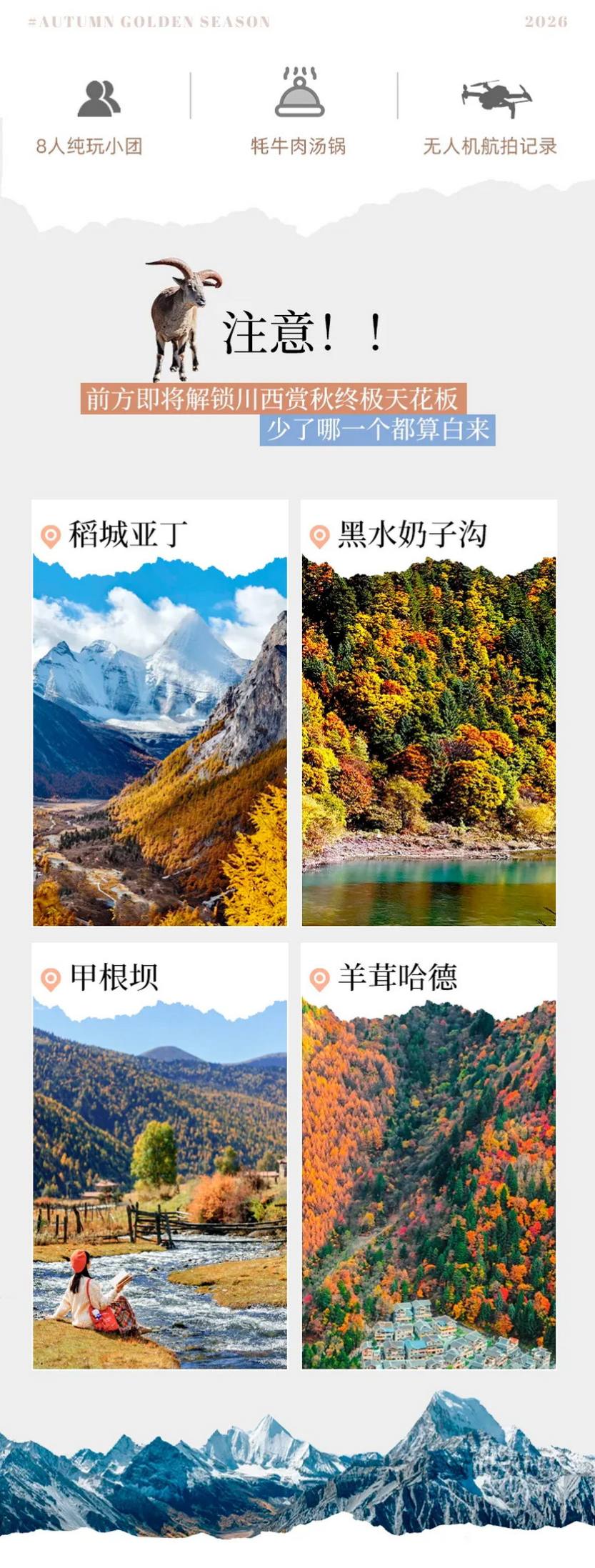 大美黑稻8天-2 大美黑稻8天-2