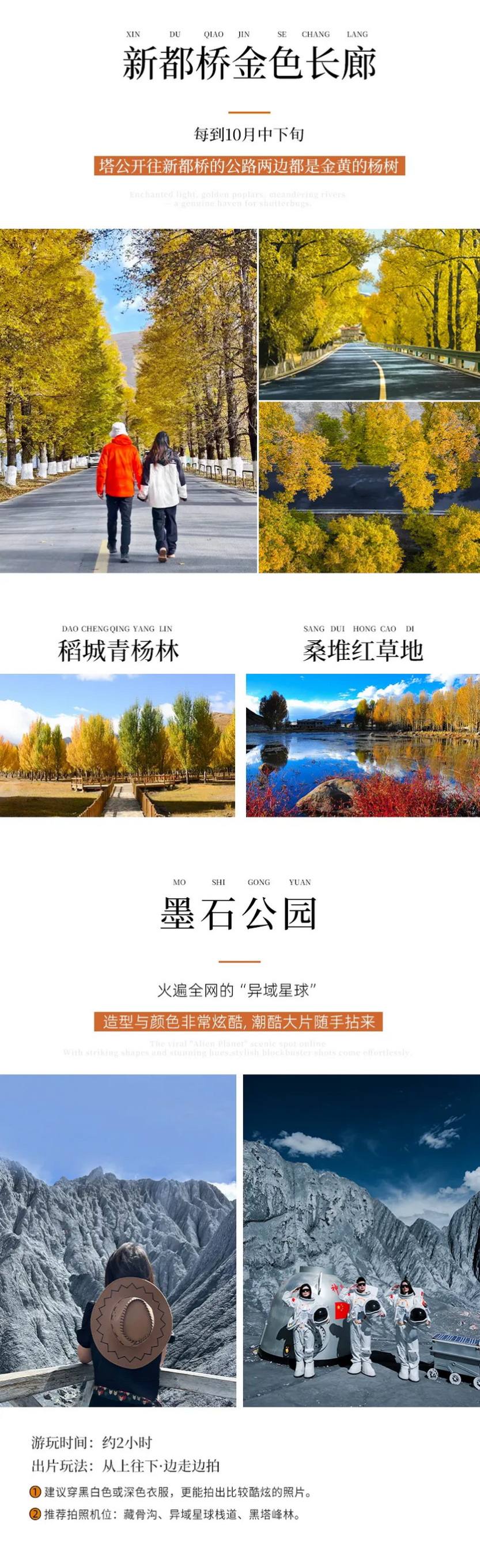 大美黑稻8天-14 大美黑稻8天-14