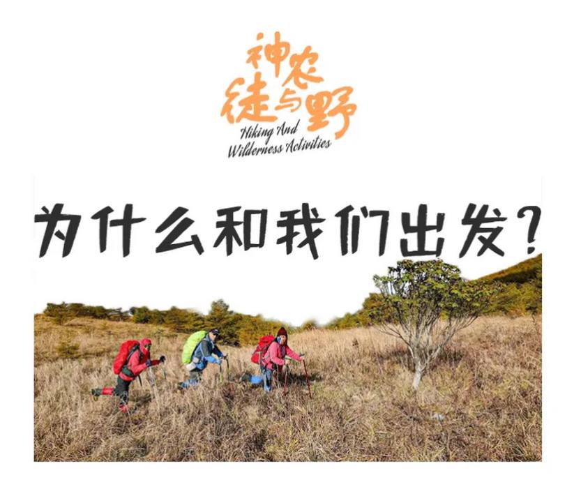 徒步神农架4天-9 徒步神农架4天-9