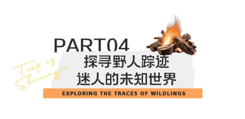 徒步神农架4天-28 徒步神农架4天-28