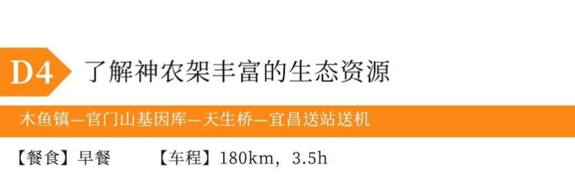 神农秋韵4天-51 神农秋韵4天-51