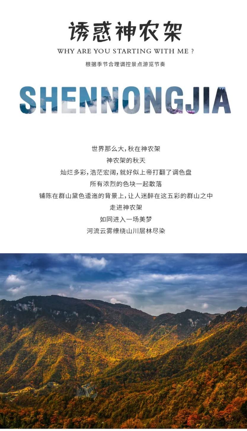 徒步神农架4天-4 徒步神农架4天-4