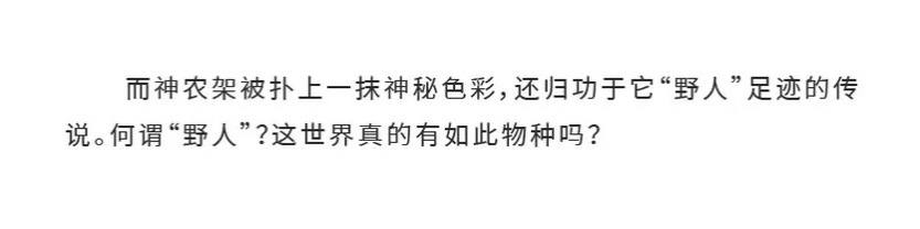 徒步神农架4天-30 徒步神农架4天-30