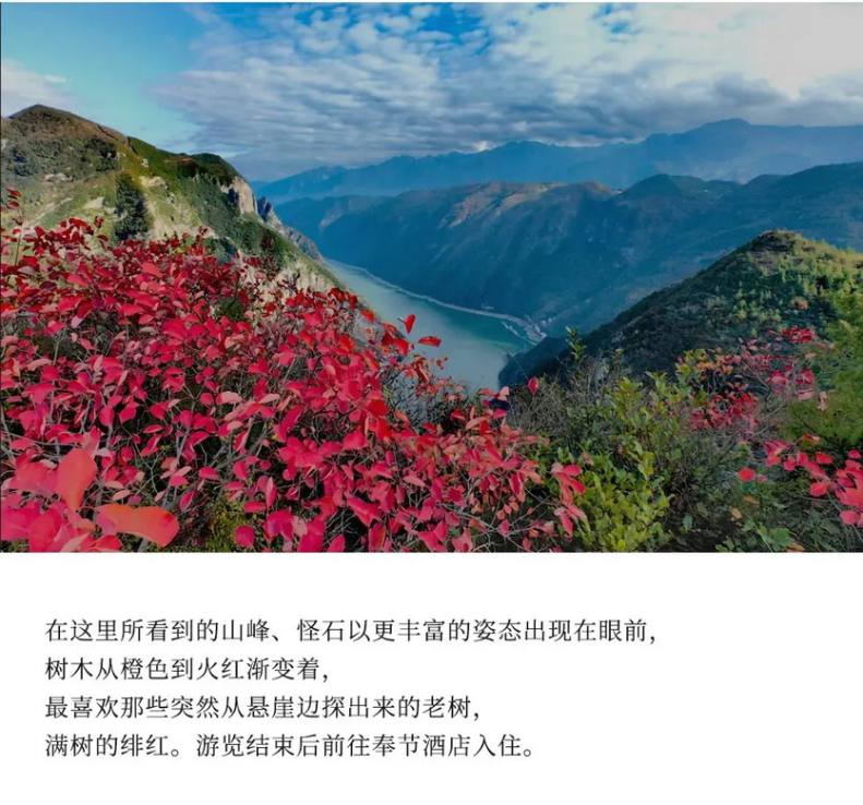 秋韵三峡红叶环线5天-54 秋韵三峡红叶环线5天-54