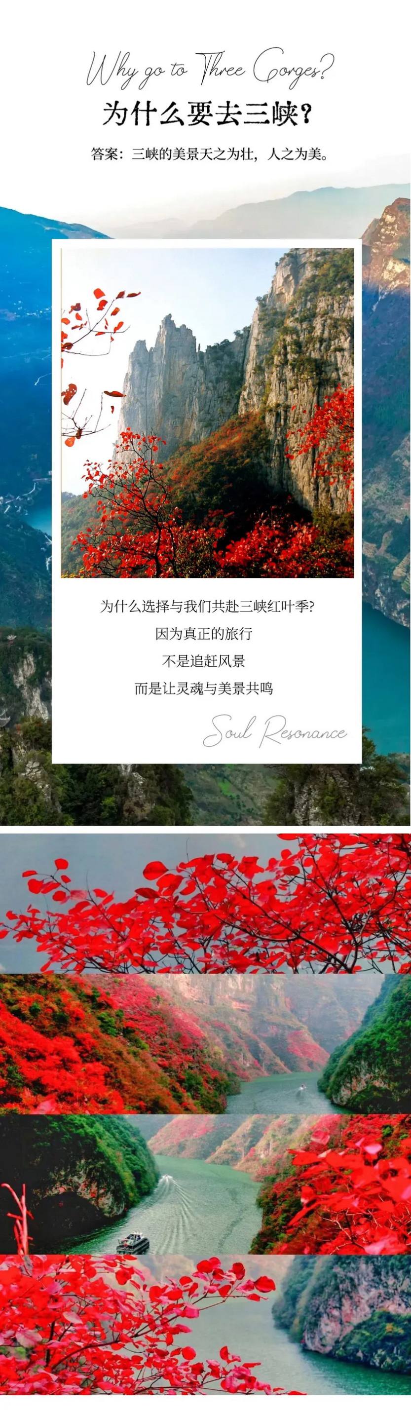 秋韵三峡红叶环线5天-8 秋韵三峡红叶环线5天-8