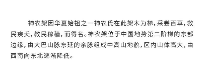 徒步神农架4天-16 徒步神农架4天-16