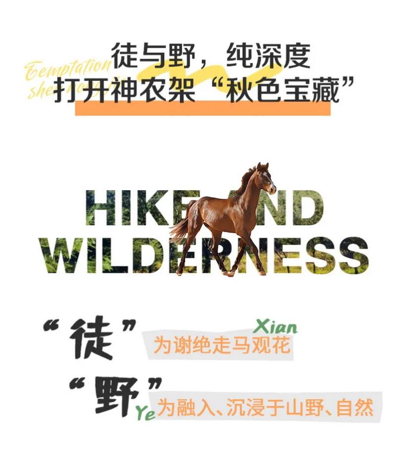 徒步神农架4天-10 徒步神农架4天-10