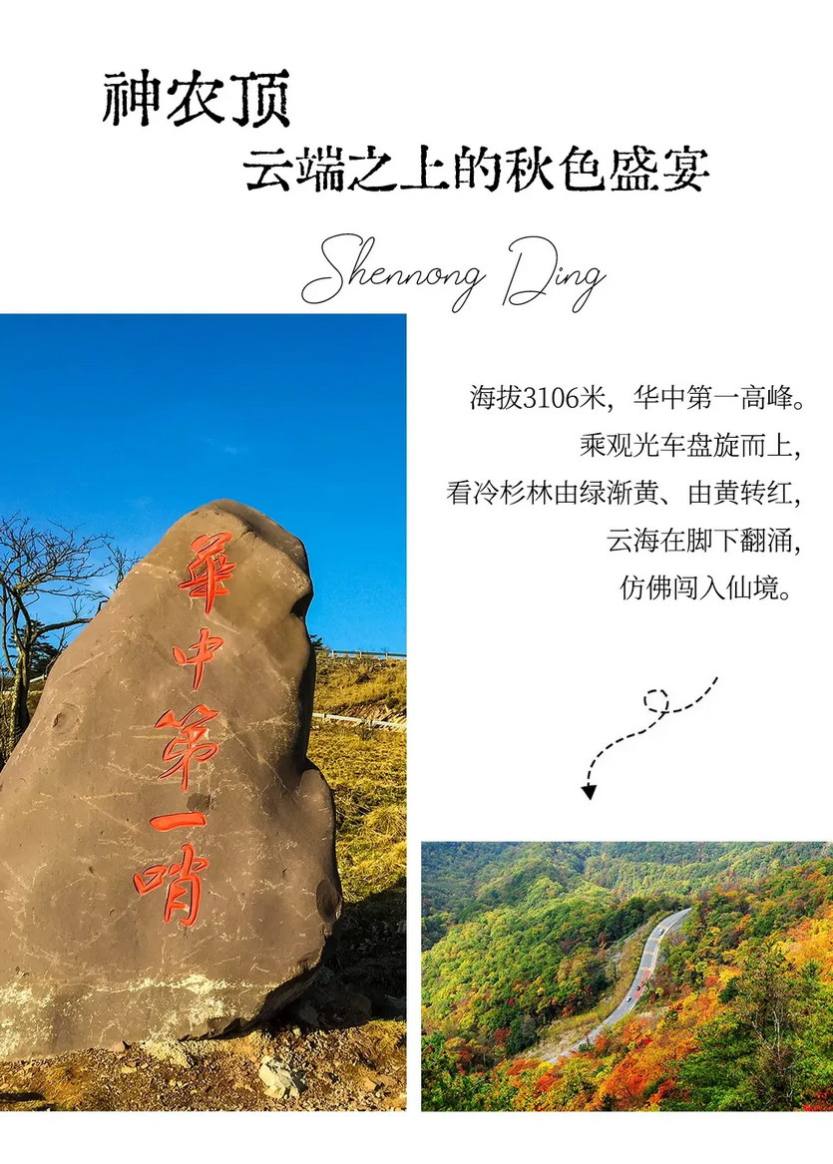 神农秋韵4天-17 神农秋韵4天-17