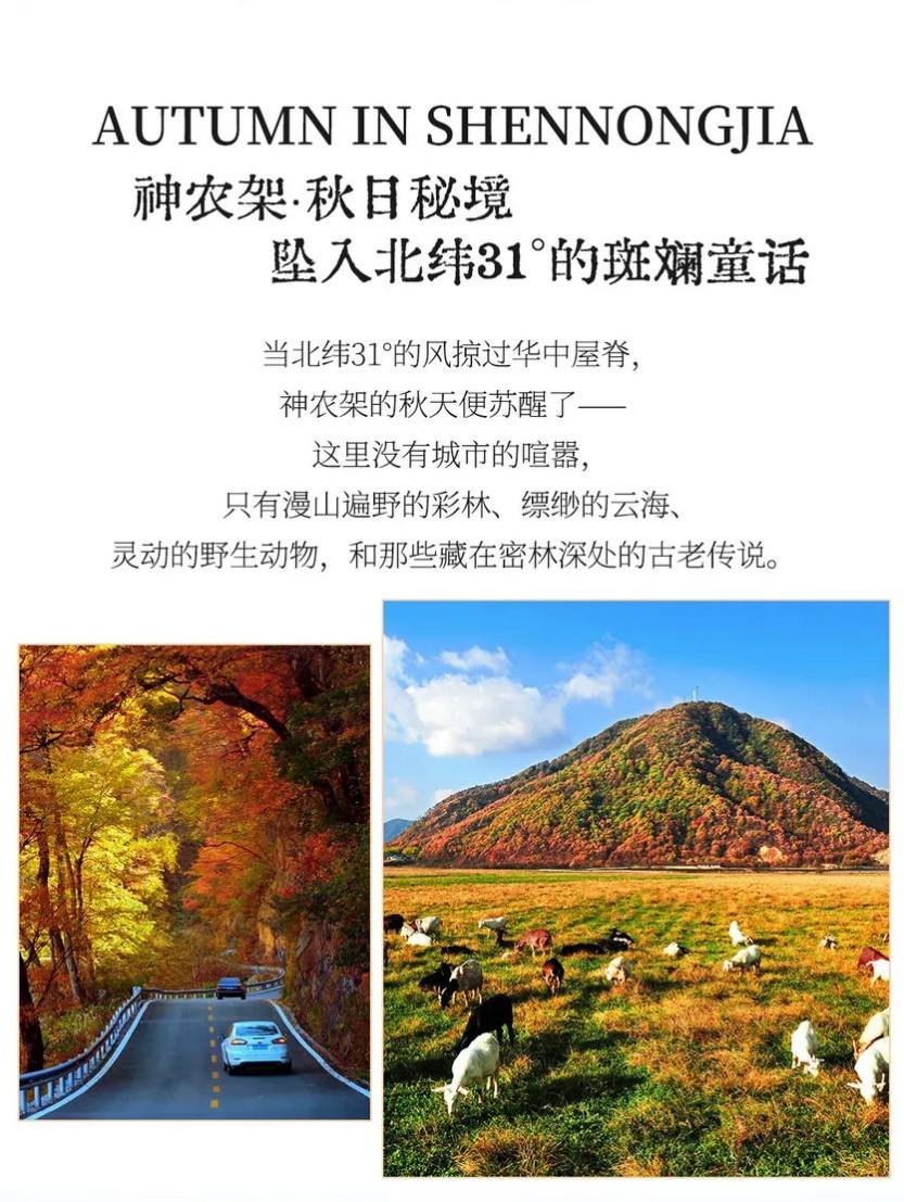 神农秋韵4天-3 神农秋韵4天-3