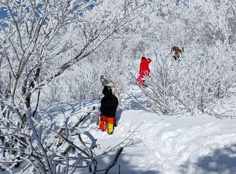 冰雪梦幻A线7天-19 冰雪梦幻A线7天-19
